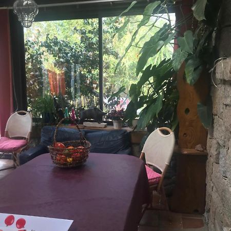 Le Paradis Zicavo Exterior foto
